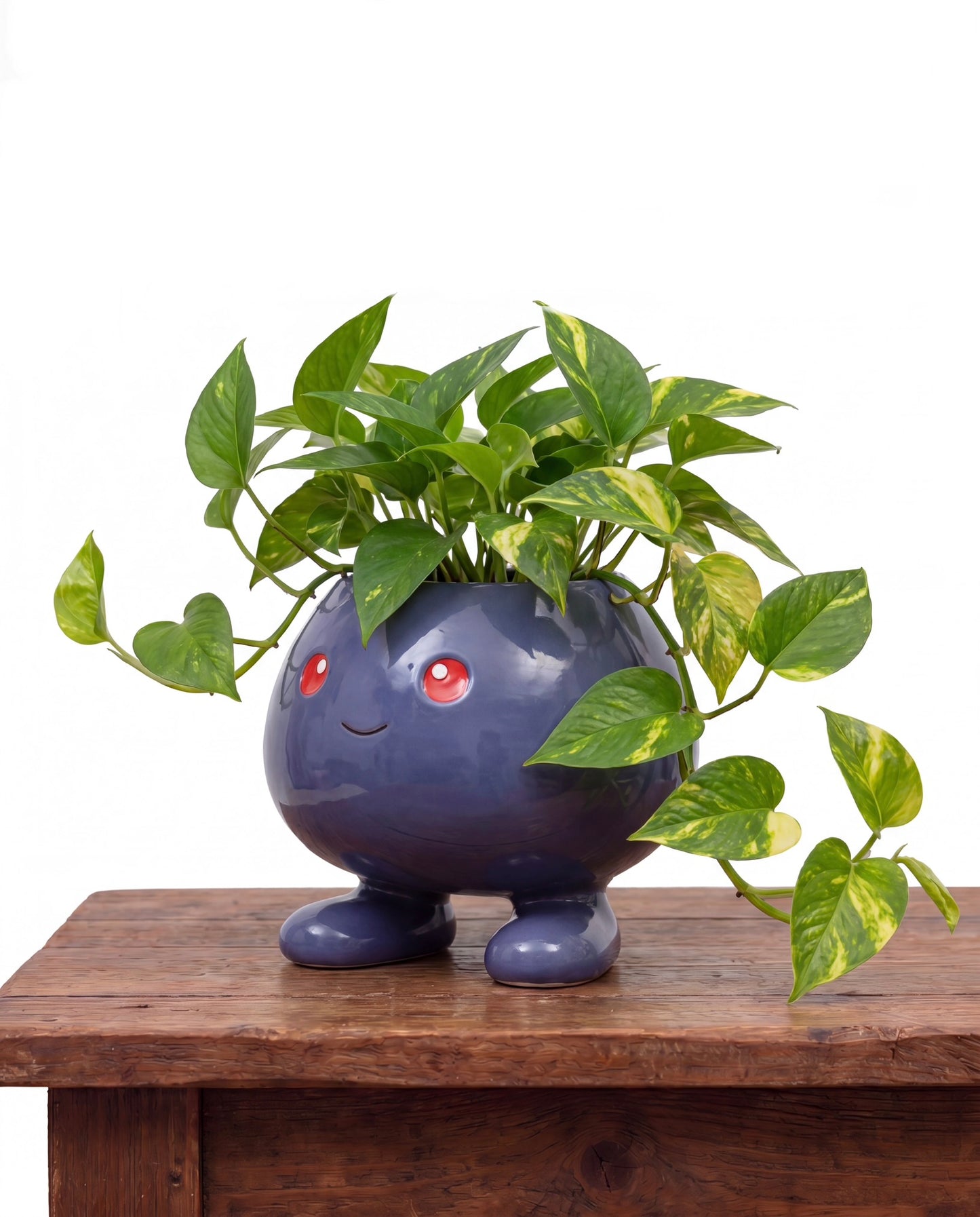 Nori’s Pots