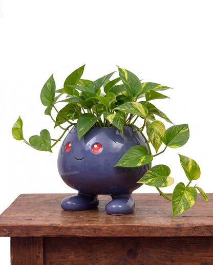 Nori’s Pots